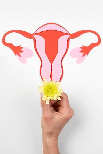 Расположение яичников у женщин: основные анатомические факты