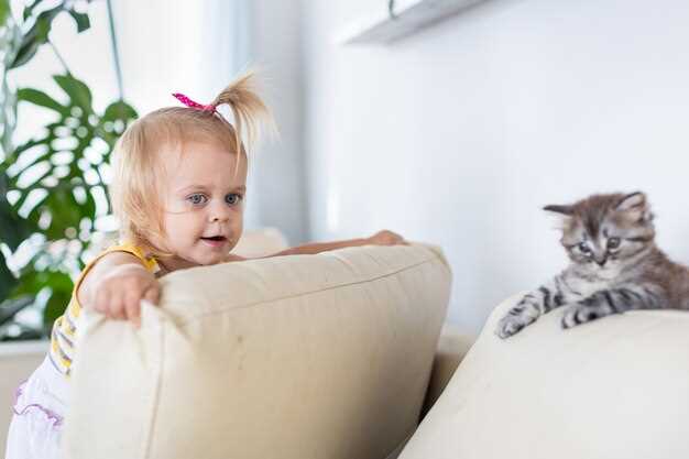 Внимательно наблюдайте за общением ребенка и кошки